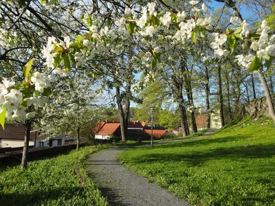 Schlosspark im Frühling