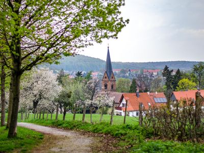 Ilsenburg-Panorama im Frühling