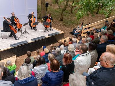 Das Bild zeigt eine Bühne von oben aus Zuschauersicht mit vier Cellisten.